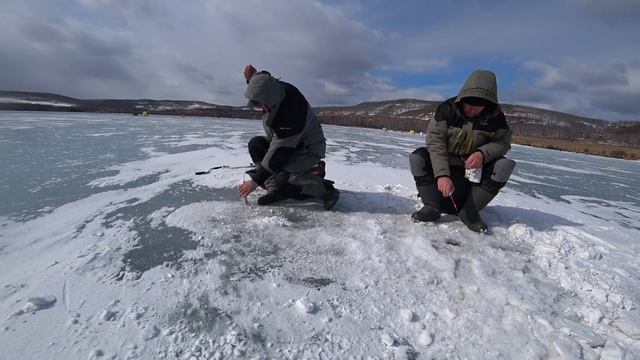 Рыбалка в Шарыпово "ТРУБА" Березовская ГРЭС. 29.03.2020.Весна.Мормыш смотреть онлайн