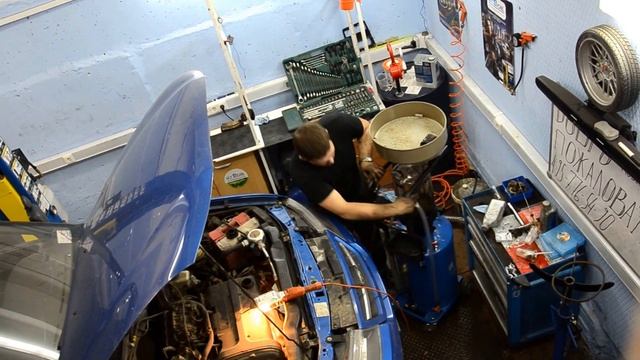 FitBoxers: бокс для женщин, когда сила и грация встречаются