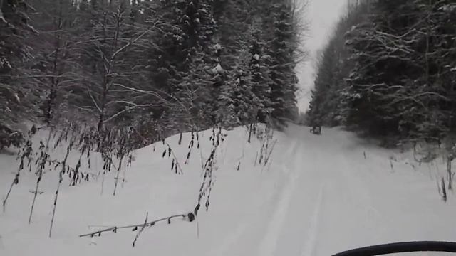 Динго Т150 по лыжне смотреть онлайн