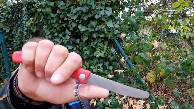 VICTORINOX Foldable Pairing Knife // Faltbares Gemüsemesser // German смотреть онлайн