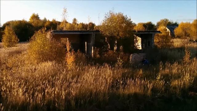 Бежаницы смотреть онлайн