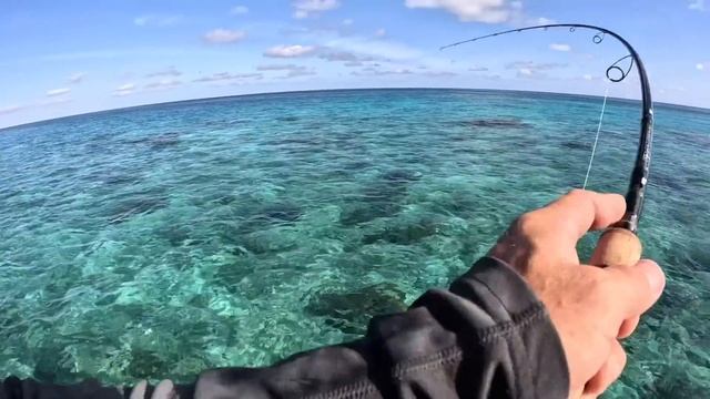 The Perfect Fishing Day !! смотреть онлайн