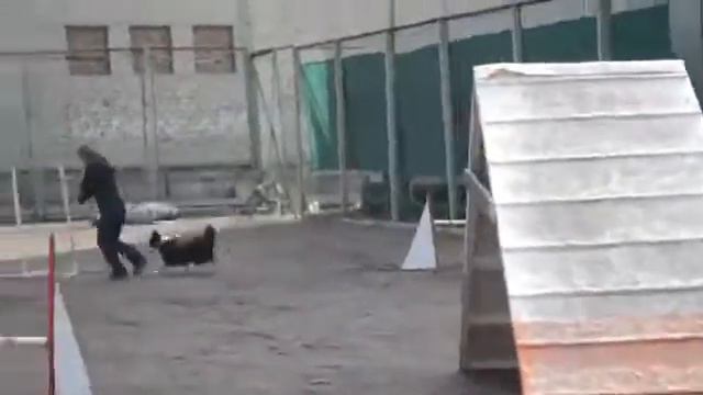 17 апреля 2016 г. смотреть онлайн