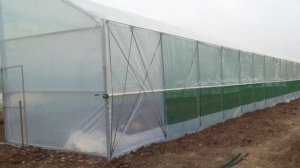 Фермерская теплица 10м на 50м с возможностью дальнейшего увеличения площади