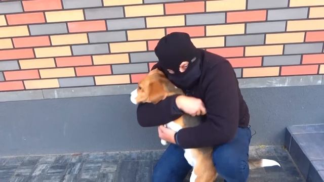 БРАТЬЯ НАРВАЛИСЬ НА НЕПРИЯТНОСТИ. БРОС ШОУ смотреть онлайн