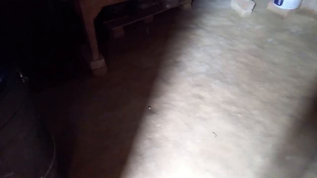 Main apne ghar ka andar ka sara Saman aap Logon Ko Dikhane wala hun? смотреть онлайн