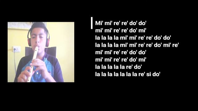 CORAZON DE MALUMA EN FLAUTA DULCE¡¡ COMPLETA!! смотреть онлайн