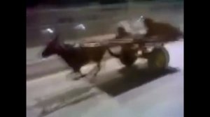 Дешевый и крепкий найнер в 2021 году | Rush Hour RX905