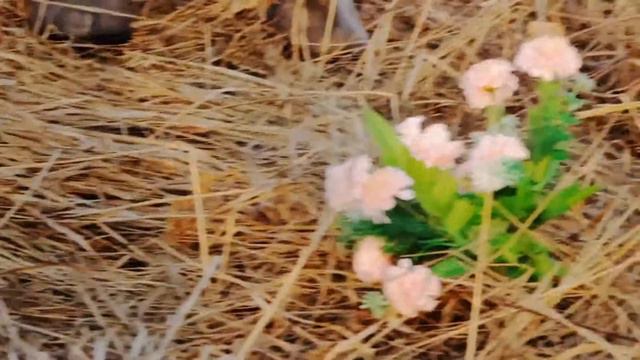 3 место Ачинский район Преображенка Важно оставаться смотреть онлайн