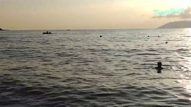 чистое море Геленджик Кабардинка 2021 смотреть онлайн