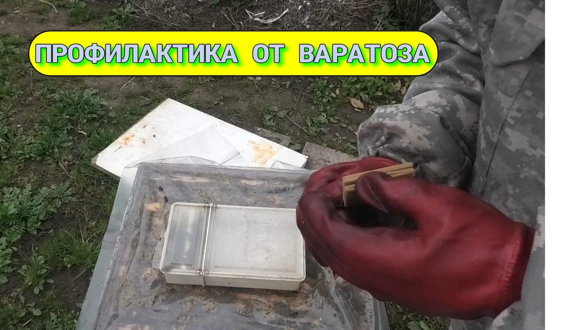ПЕРВАЯ ВЕСЕННЯЯ ОБРАБОТКА ОТ ВАРАТОЗА смотреть онлайн