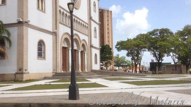 Catedral de Maturín - Venezuela 069 смотреть онлайн