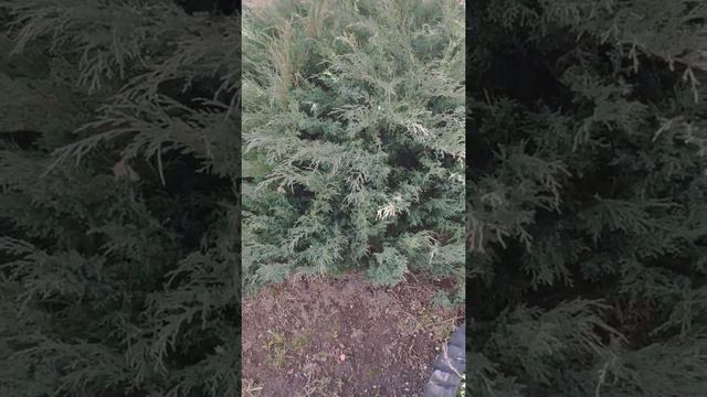 становится все теплее и мы выбирпемся на улицу. смотреть онлайн
