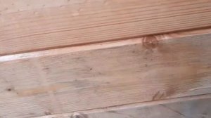 Убираем черноту и плесень на деревянных стенах: школа ремонта