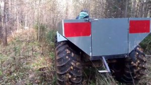 на каракате по лесу