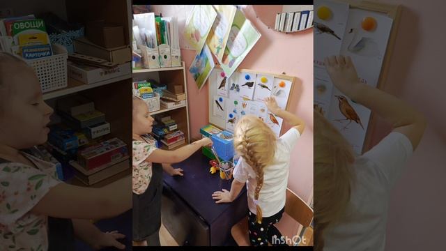 InShot_20231213_134526392.mp4