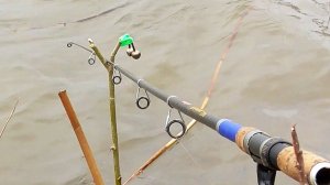 Карась на донку Весной. Скоро на всех водоемах!