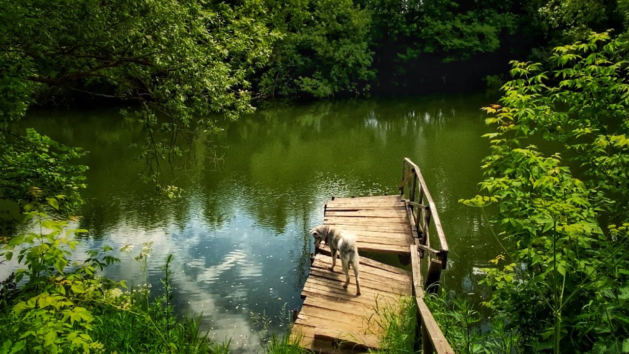 ЧТО СЛУЧИЛОСЬ С ВОДОПАДОМ ! Мы с Вакаем выяснили⚠️ смотреть онлайн