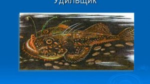 Презентация Внутреннее строение рыб