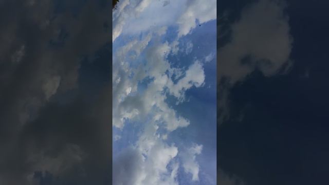Блакитне небо Украіни смотреть онлайн