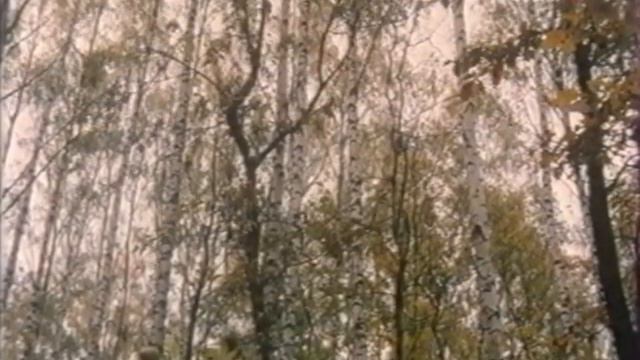 Особенности национальной охоты 2001 смотреть онлайн