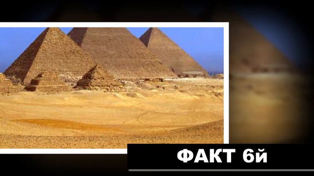 10 интересных фактов. В мире всего лишь один примат - горилла. Она обладает множеством интересн.... смотреть онлайн