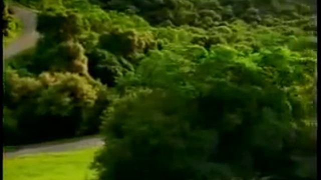 Видео со скримером