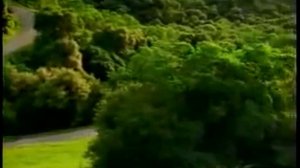 Видео со скримером