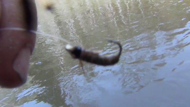 Обманки на хариуса Рыбалка на хариуса 2018 Ловля хариуса мушки на хариуса Клев хариуса Тайга смотреть онлайн