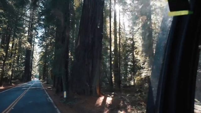 Wir fahren die Traumstraßen Highway 1 & 101 | S03E02 | USA Overlanding смотреть онлайн