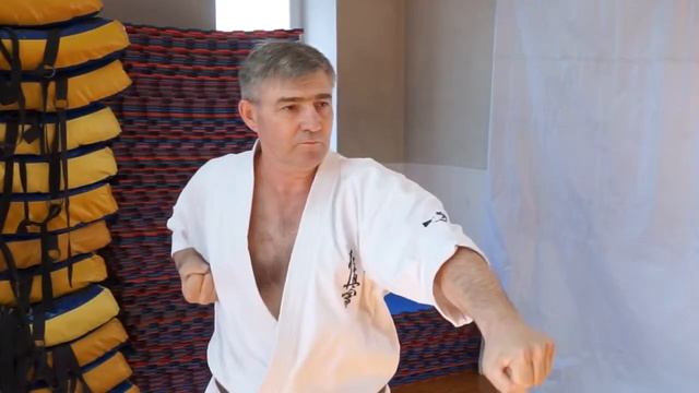 Сейкен цуки - один из самых сильных ударов в киокусинкай смотреть онлайн