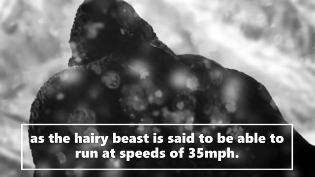 Terrible Miscarriage of Justice Bigfoot Mystery. Terrifying True SAROY | (Strange But True Stories! смотреть онлайн