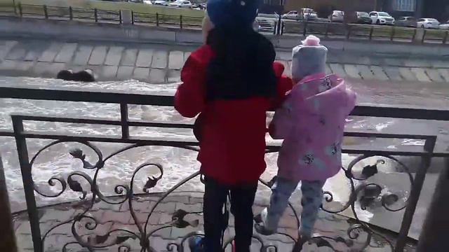 р. Кача в Красноярске смотреть онлайн