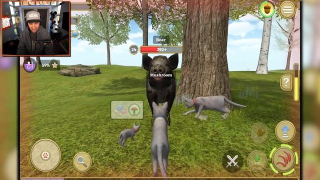 My Baby Kitten is a Teenager now... | Cat Simulator 2020 смотреть онлайн