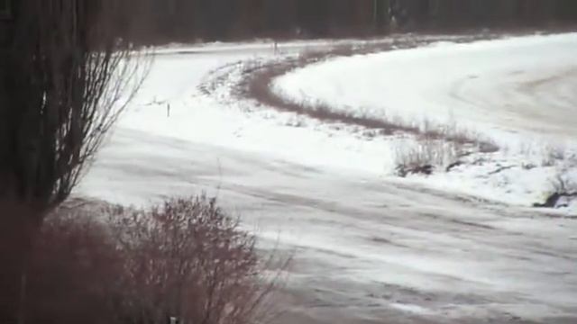 киевский ипподром - бега борзых 22.02.2015 - 3 забег - уиппеты смотреть онлайн