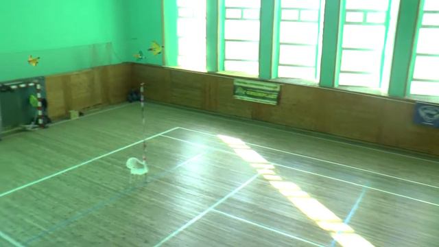 Фестиваль радиоуправляемых зальных моделей в Трускавце смотреть онлайн