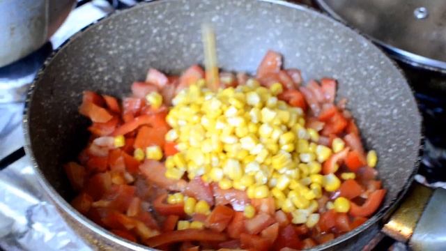 Животные в Зоопарках