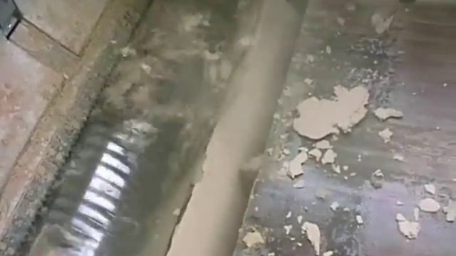 Шредер для измельчения древесных отходов UNTHA LR1000 (Австрия). Видео работы станка смотреть онлайн