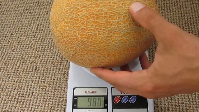 Амал - самый вкусный сорт дынь в 2017 году смотреть онлайн
