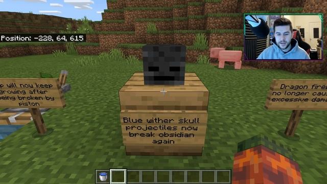 MCPE 1.15.0.55 JAVA PARITY FEATURES! Minecraft Pocket Edition Villagers IMPROVED! смотреть онлайн