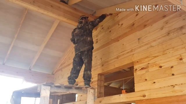 Защита сруба естественной влажности льняным маслом смотреть онлайн
