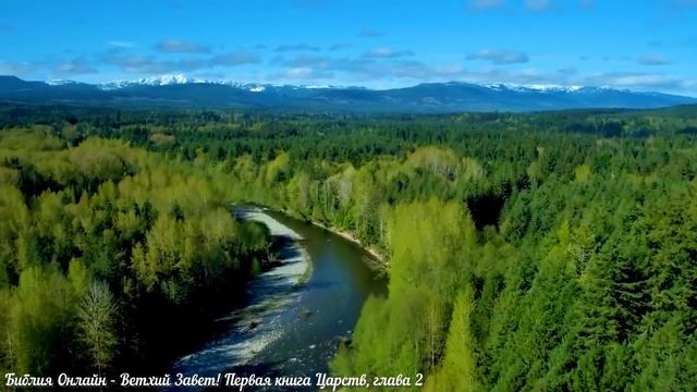 Библия Онлайн - Первая книга Царств, глава 2