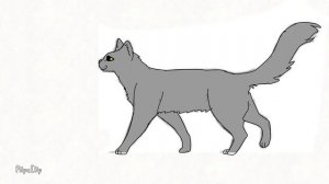 анимация ходьба кошки