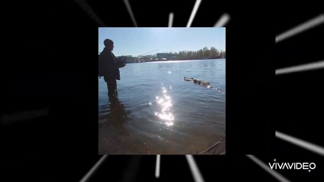 Рыбалка ловля щуки ,окуня ,Днепр.#щука#окуньнаджиг #ловляхищника #спиннинг #ловлянавоблеры смотреть онлайн