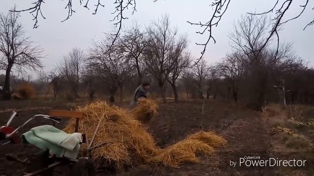 Мульчирование малины осенью. смотреть онлайн