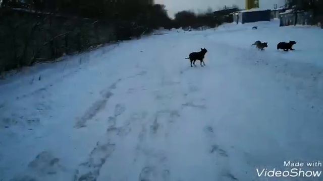 Бренда и её бригада смотреть онлайн
