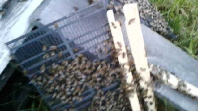 Стоила ли овчинка выделки смотреть онлайн