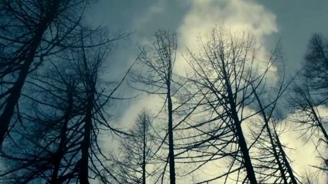 How Dare You/The Dark Valley. КФ "Темная Долина". смотреть онлайн