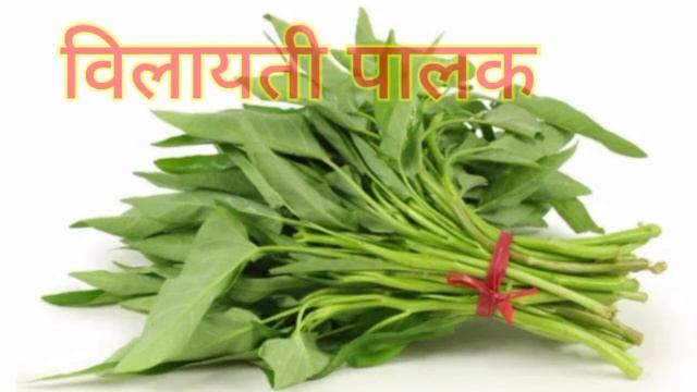 Names of Beans & leafy vegetables with images //फलियों और पत्तेदार सब्जियों के नाम चित्र सहित смотреть онлайн