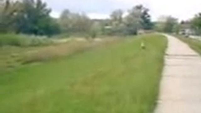 Novi Knezevac Roda na dolmi смотреть онлайн